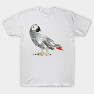 African Grey Parrot T-Shirt